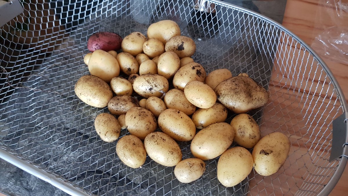 IMG-20190523-WA0005.jpeg