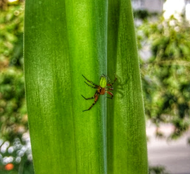 IMG-20190603-WA0003-02.jpeg