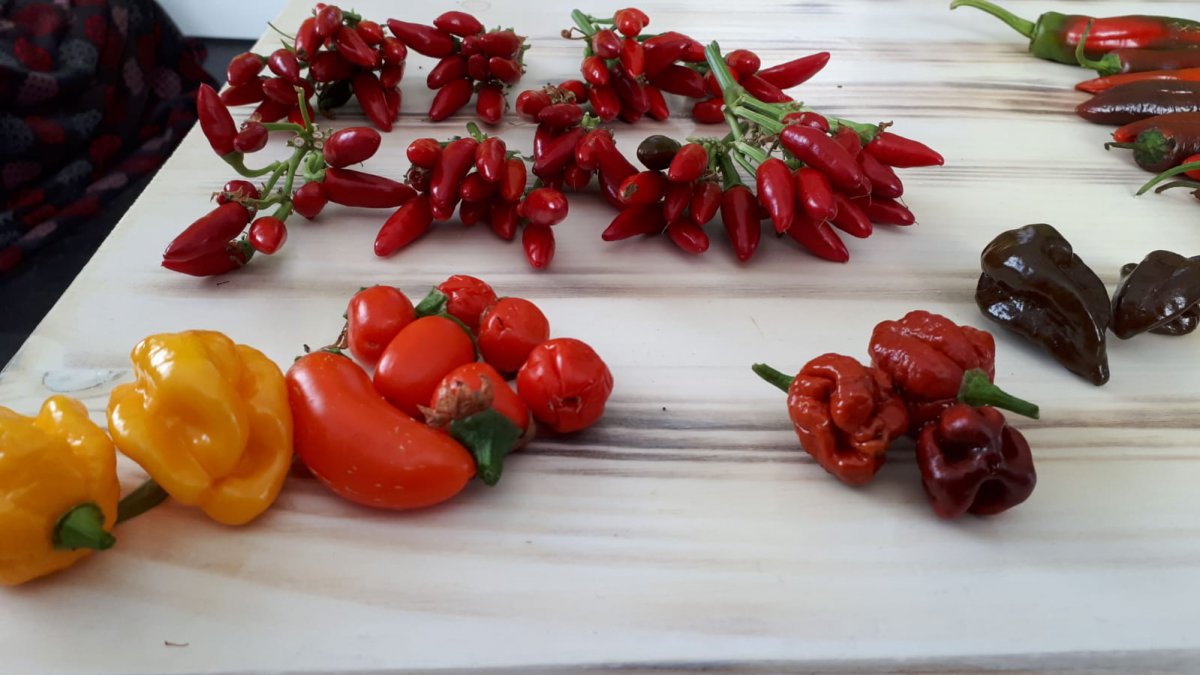 IMG-20191015-WA0030.jpg