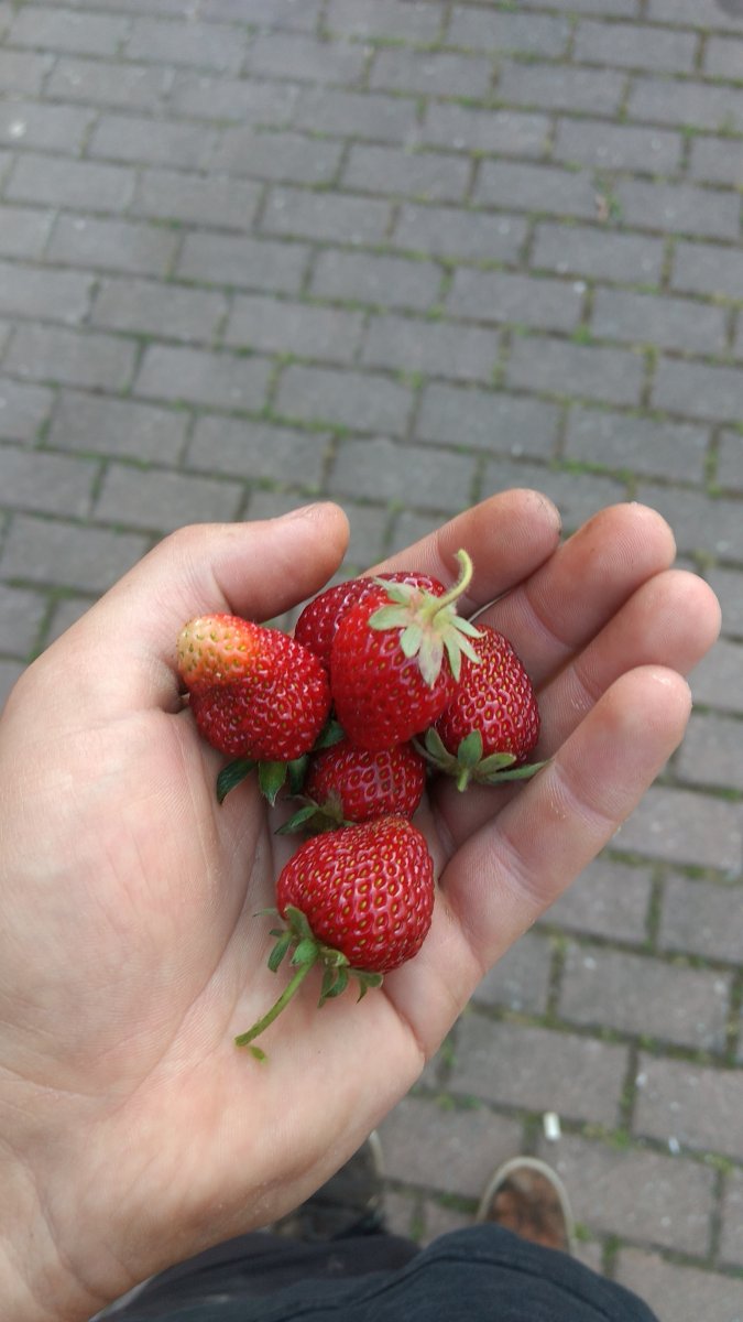 IMG-20210616-WA0000.jpeg