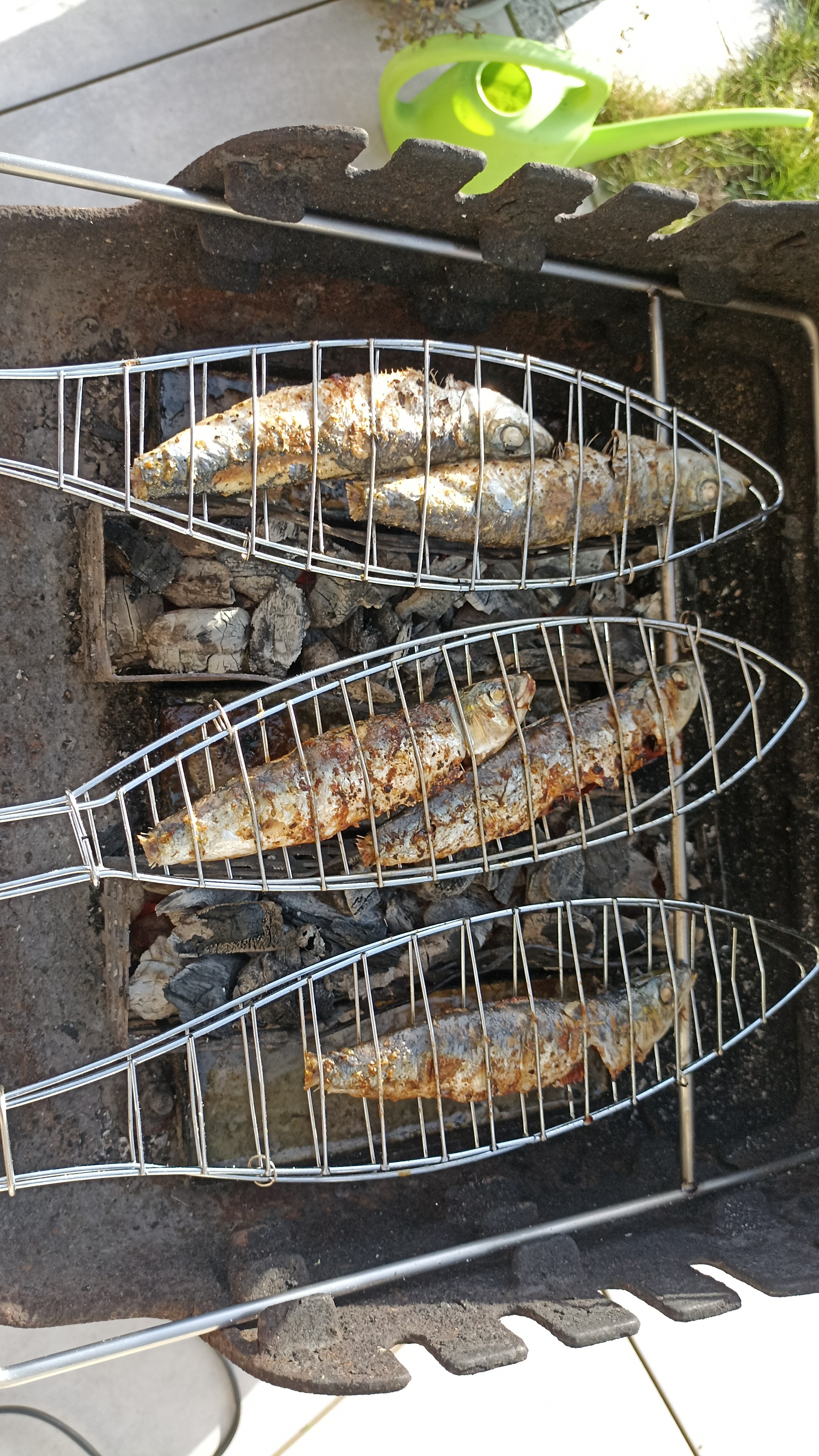 IMG-20230101-WA0015.jpeg
