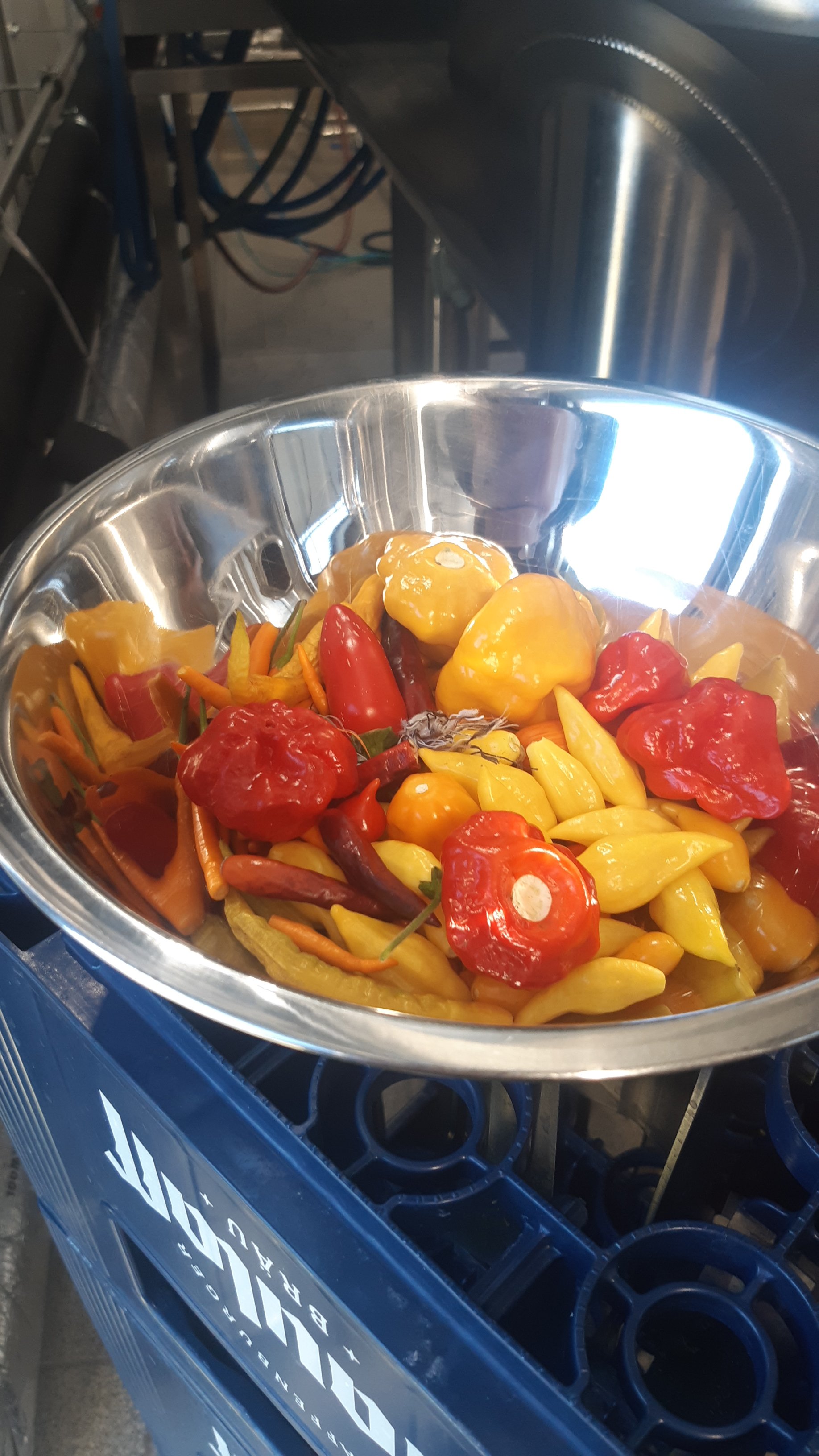 IMG-20230904-WA0011.jpeg