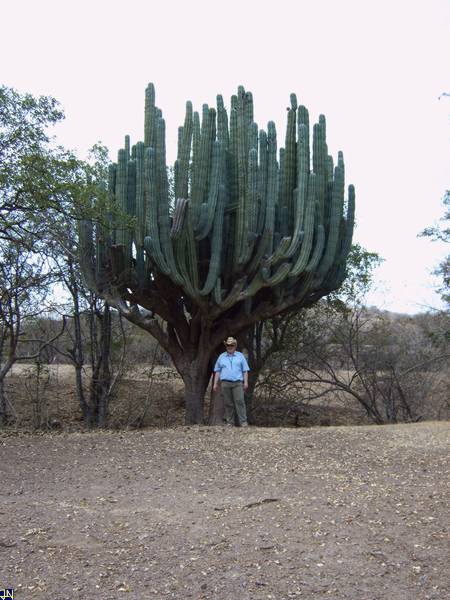 IMG10068.jpg