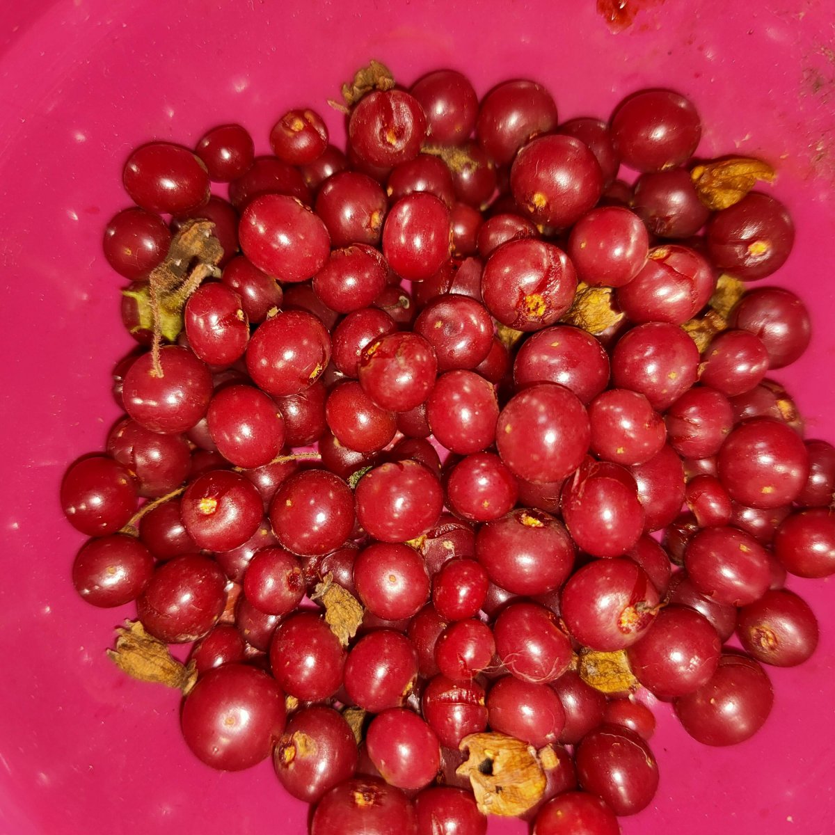 IMG20201116143300.jpg