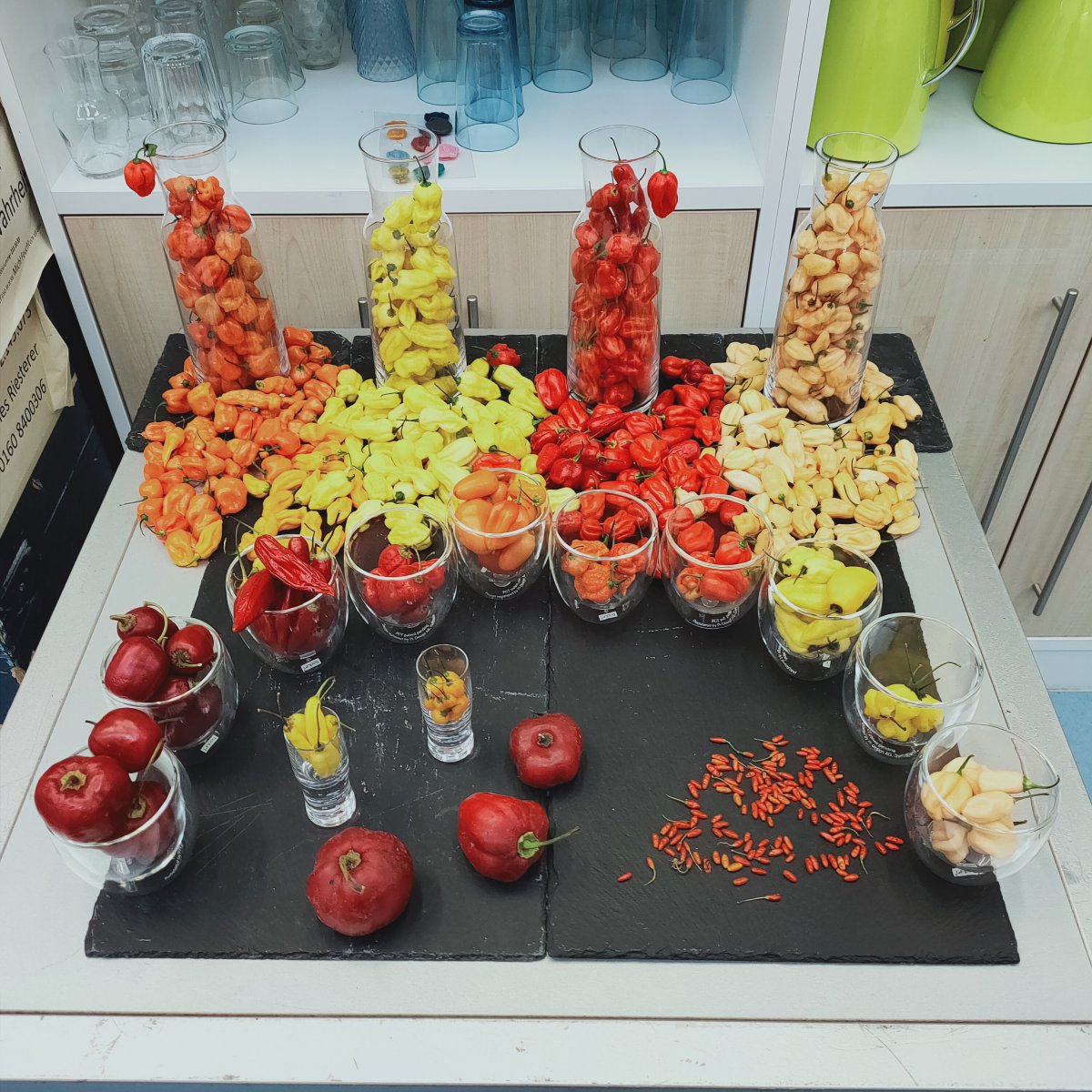 IMG20201202113617.jpg