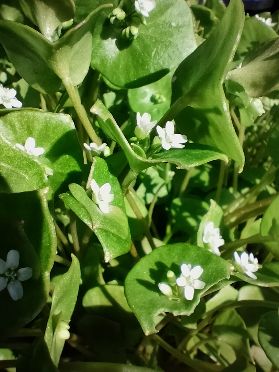 IMG20210420124824.jpg