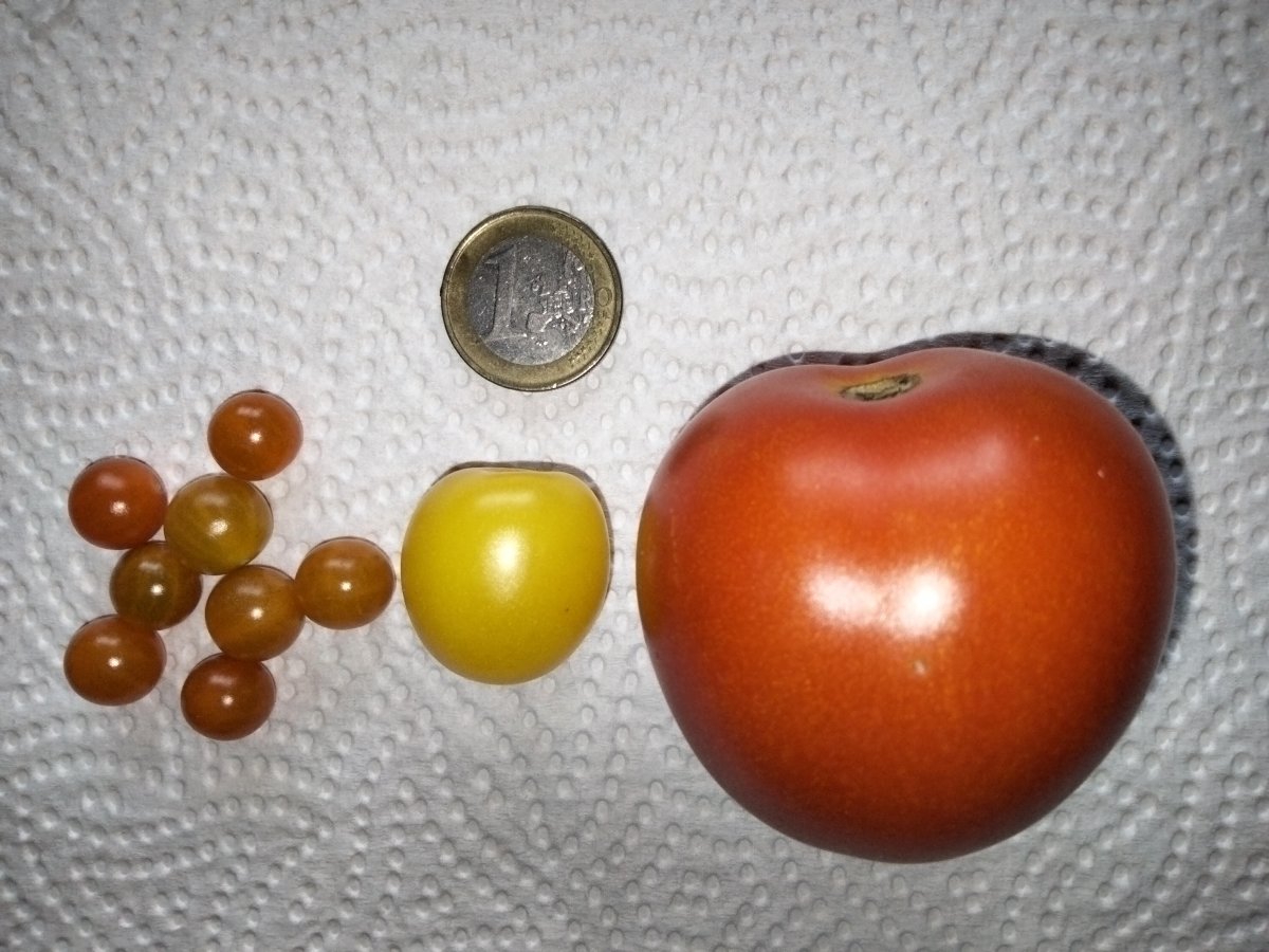 IMG20210818172528.jpg