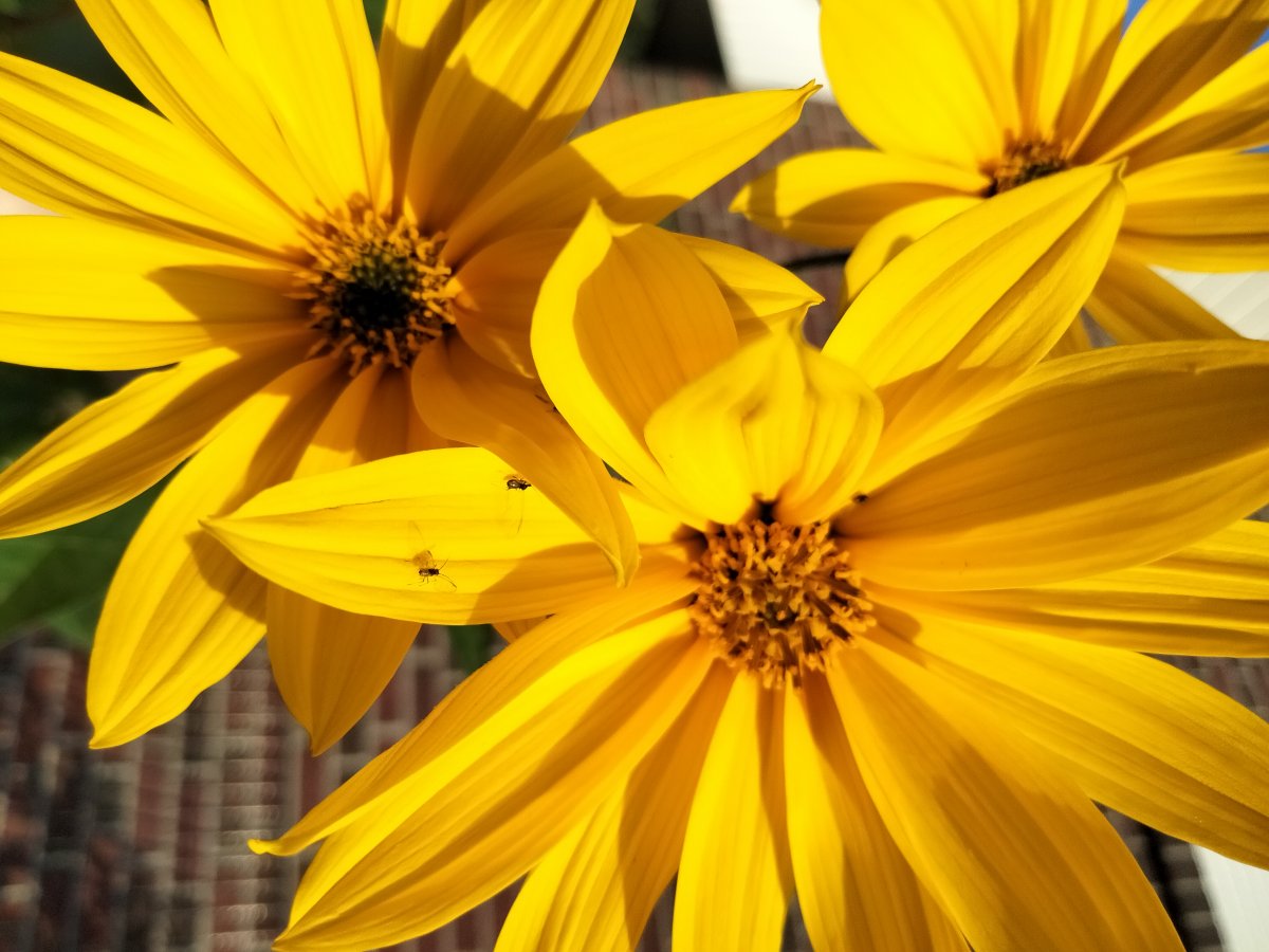 IMG20210928173014.jpg