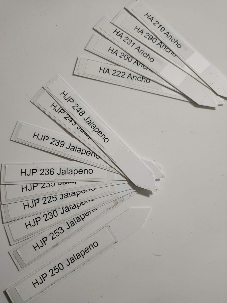 IMG20220127161529.jpg