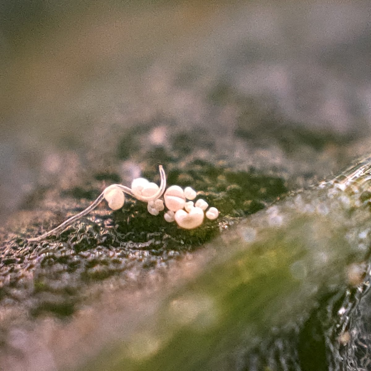 IMG20220520121123.jpg