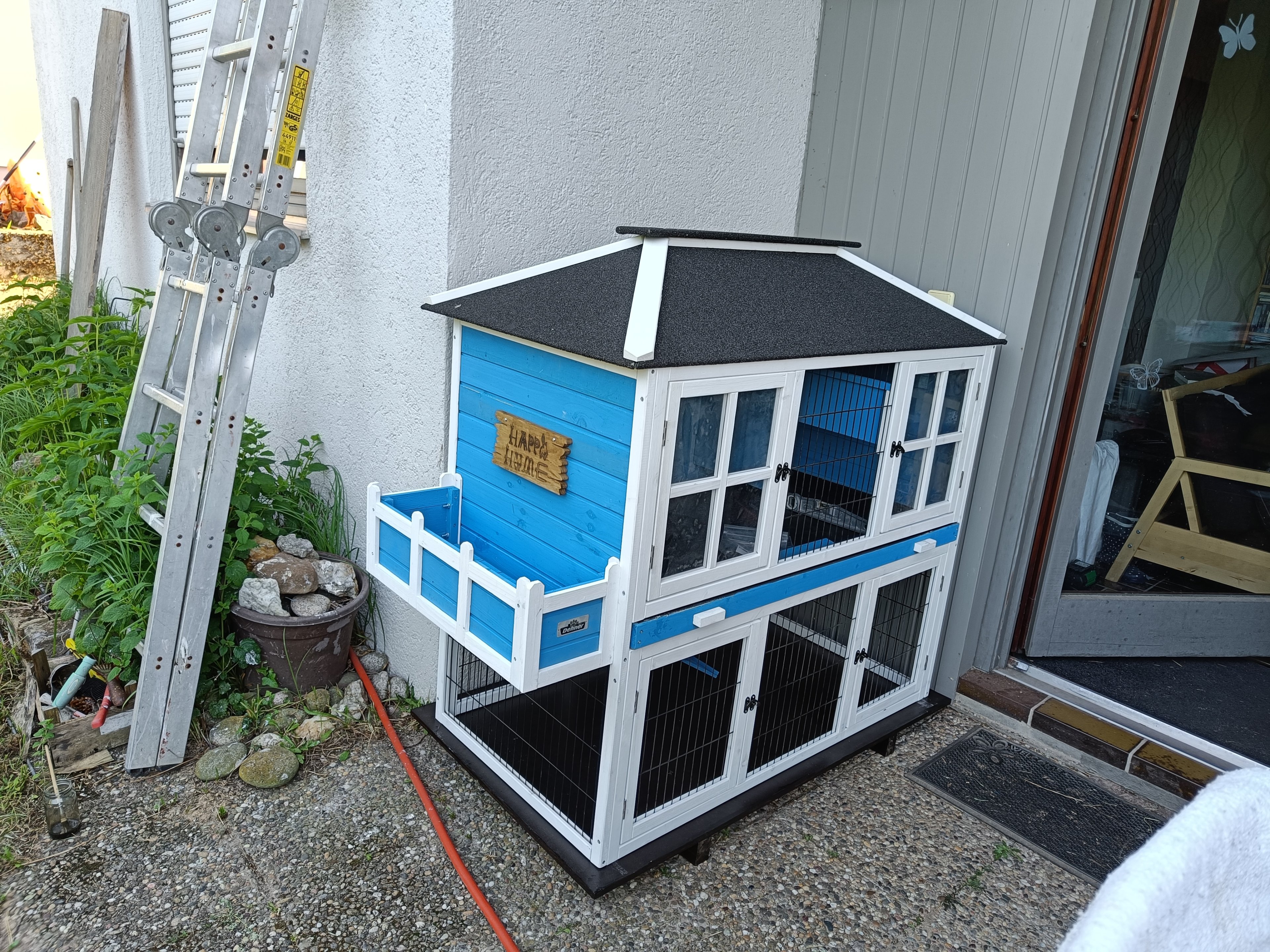IMG20230601180139.jpg