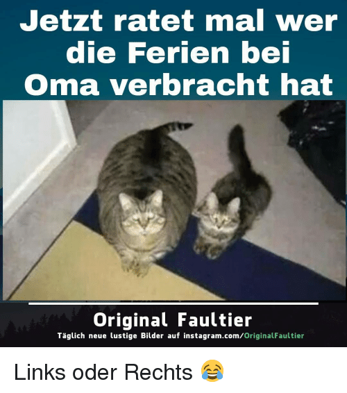 IMG_1134.png