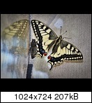img_1607dd1fjqv3.jpg