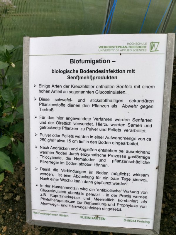 IMG_20170806_095142161_HDR (Andere).jpg