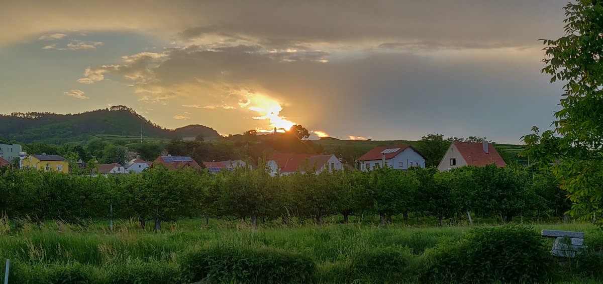 IMG_20190602_201324.jpg