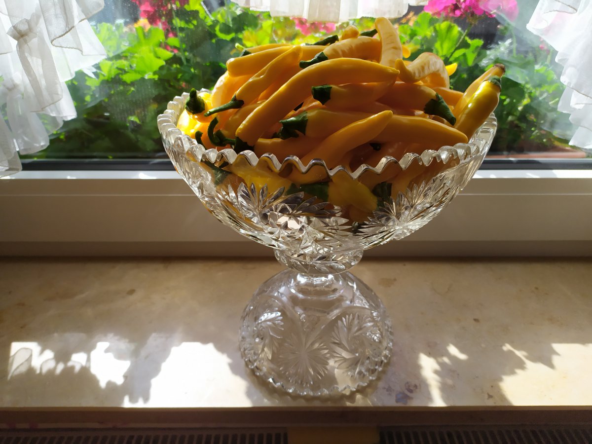 IMG_20190906_154651.jpg