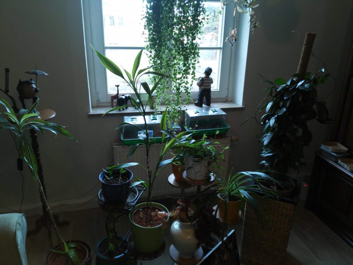 IMG_20200113_113928.jpg
