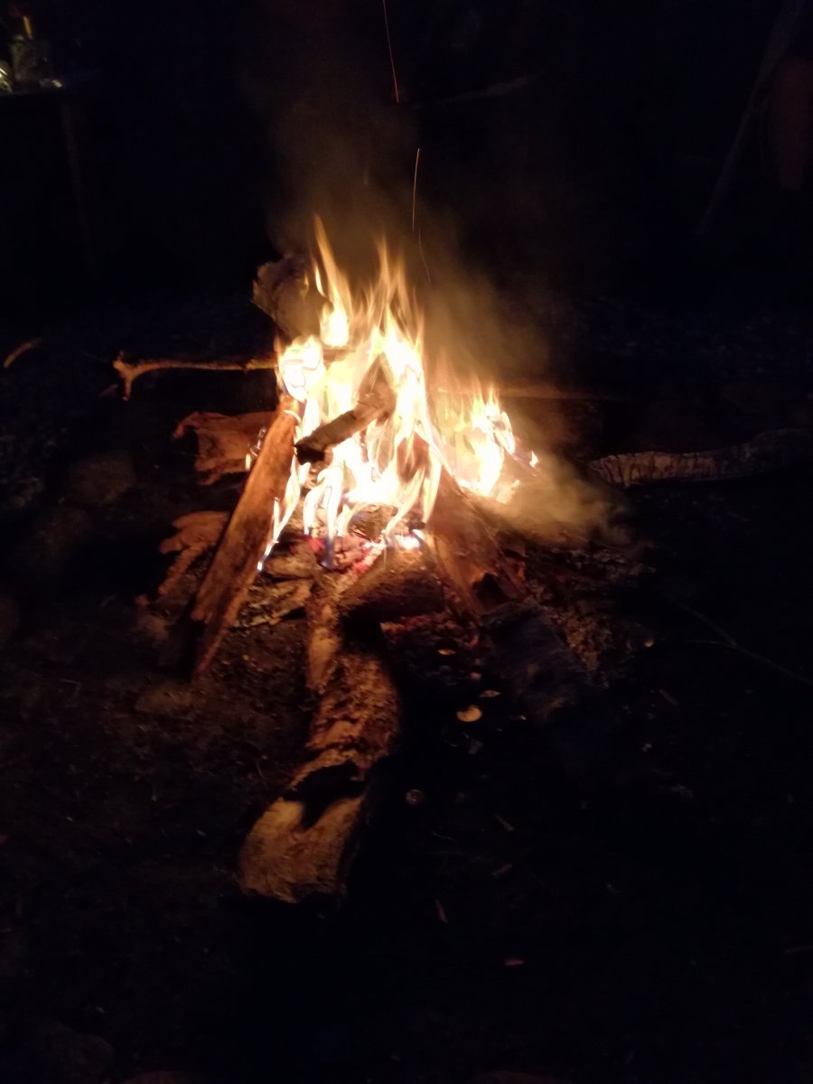 IMG_20200617_221908.jpg