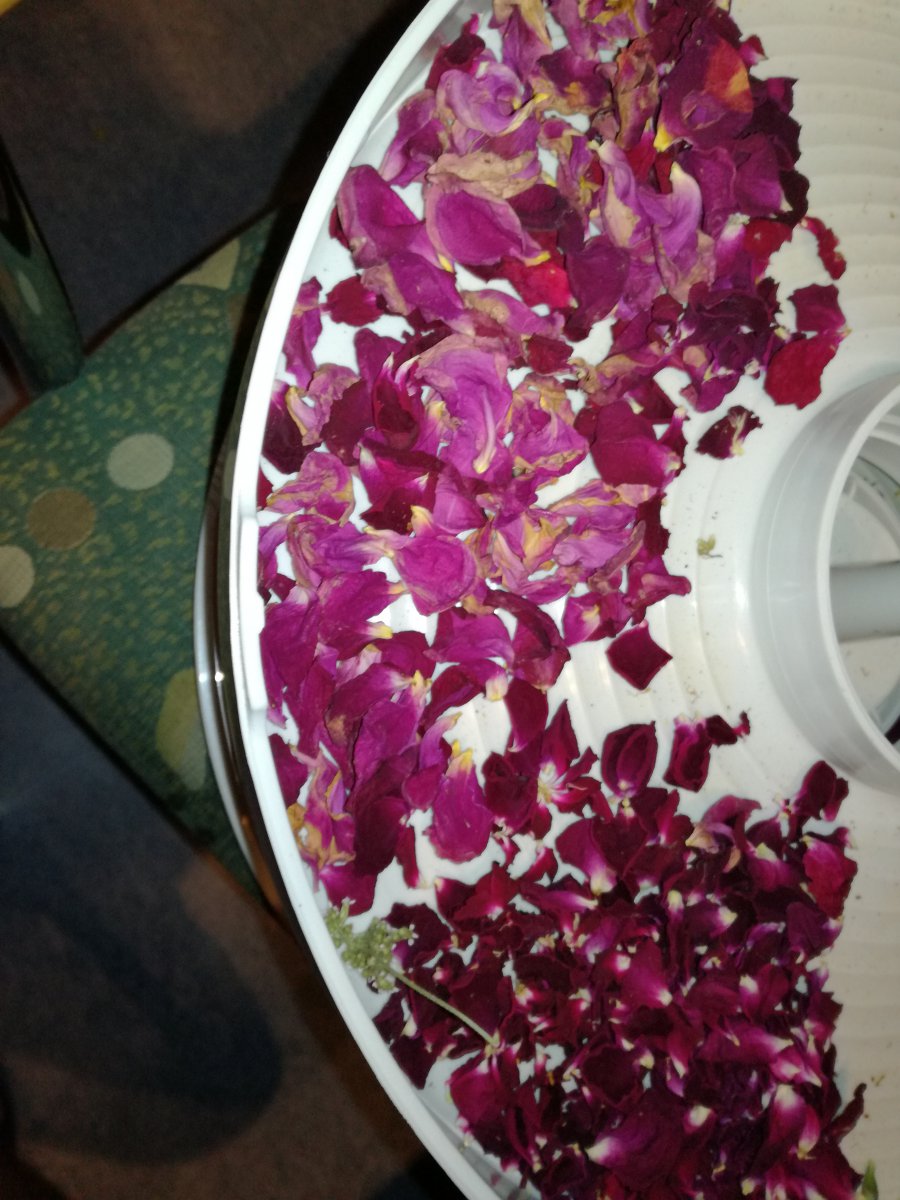 IMG_20200715_232514.jpg