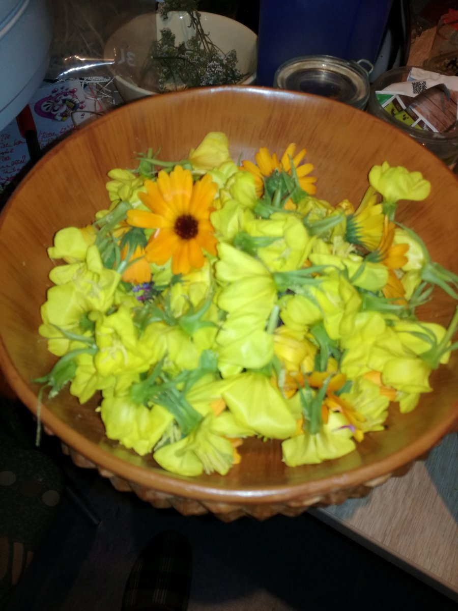 IMG_20200715_233423.jpg