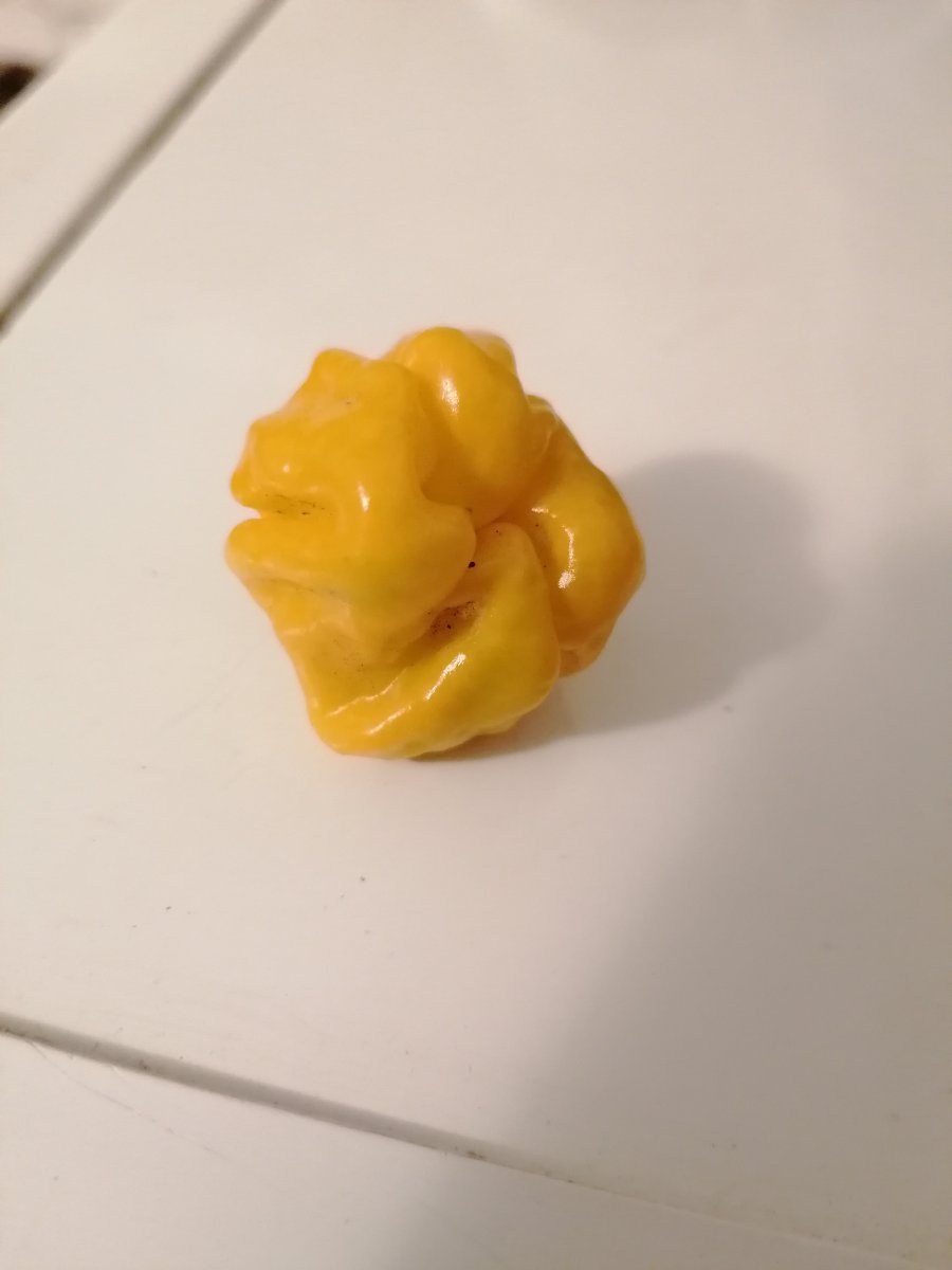 IMG_20200728_213630.jpg