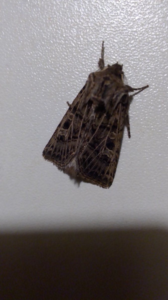 IMG_20200823_234744.jpg