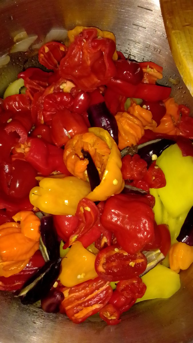 IMG_20200830_121505.jpg