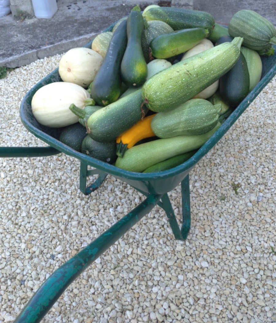 IMG_20200909_105525.jpg