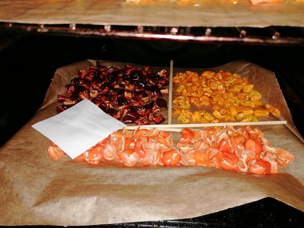 IMG_20200919_194241.jpg