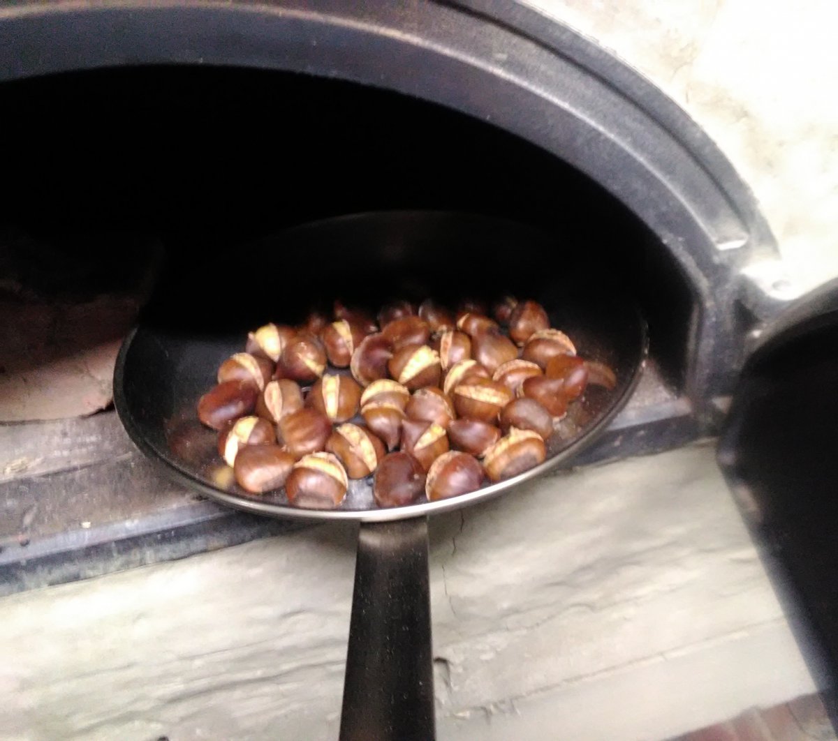 IMG_20201127_170905.jpg