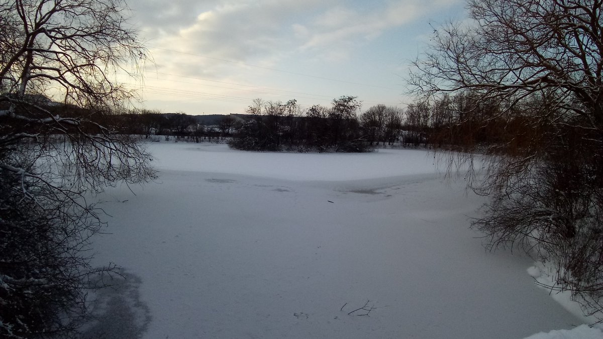 IMG_20210209_162926.jpg