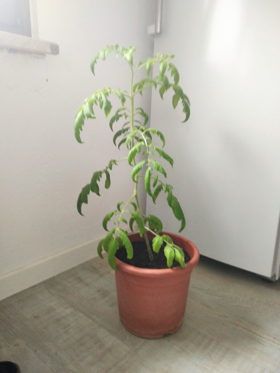 IMG_20210517_104759.jpg
