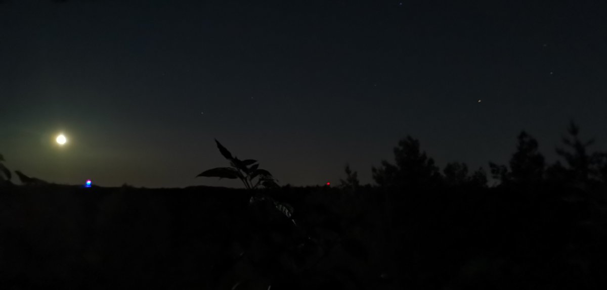 IMG_20210530_020821.jpg