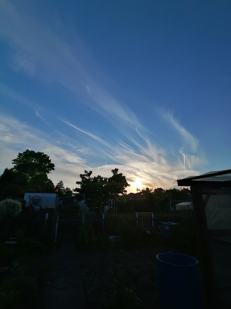 IMG_20210602_202029.jpg