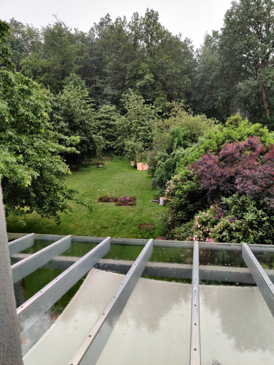 IMG_20210629_174059.jpg