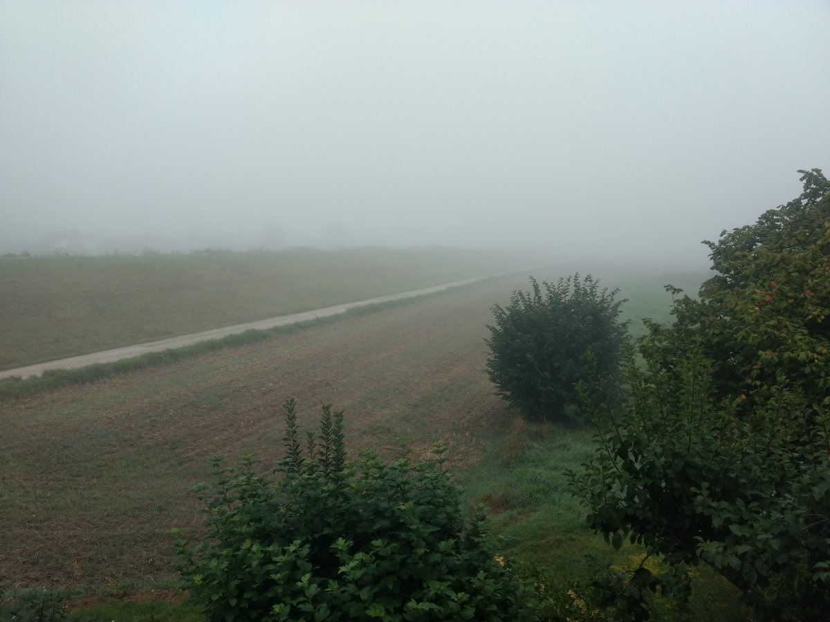 IMG_20210825_084206362.jpg