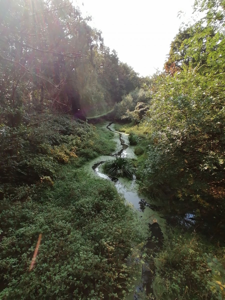 IMG_20210926_140330.jpg