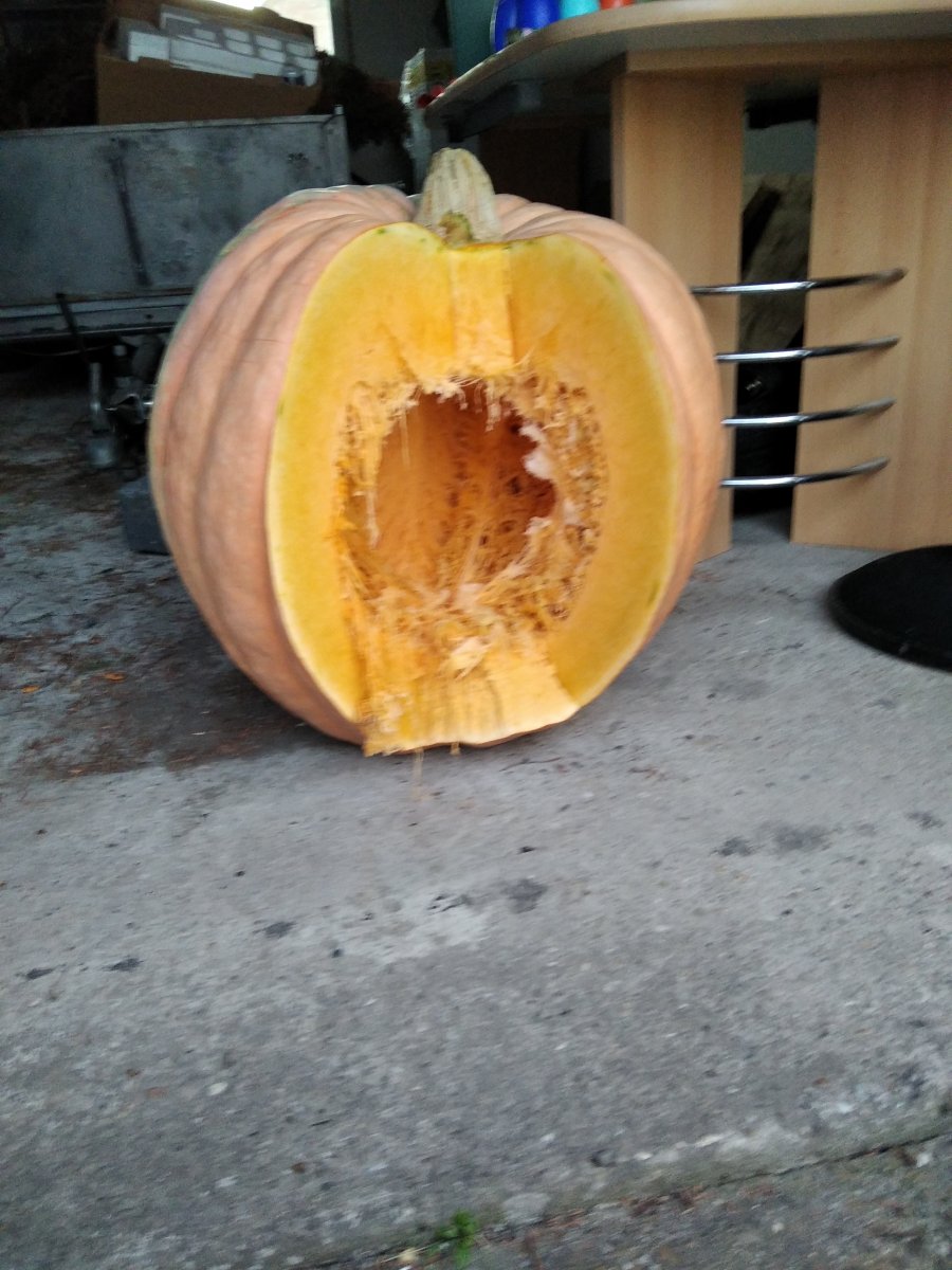 IMG_20211010_184337.jpg