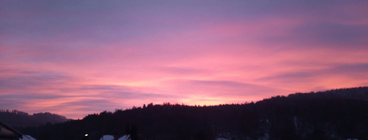IMG_20220127_171332018.jpg