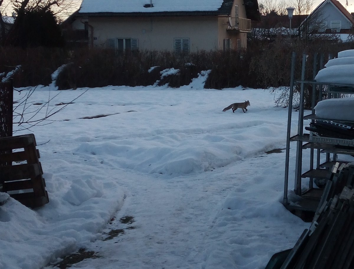 IMG_20220129_075743501~2.jpg