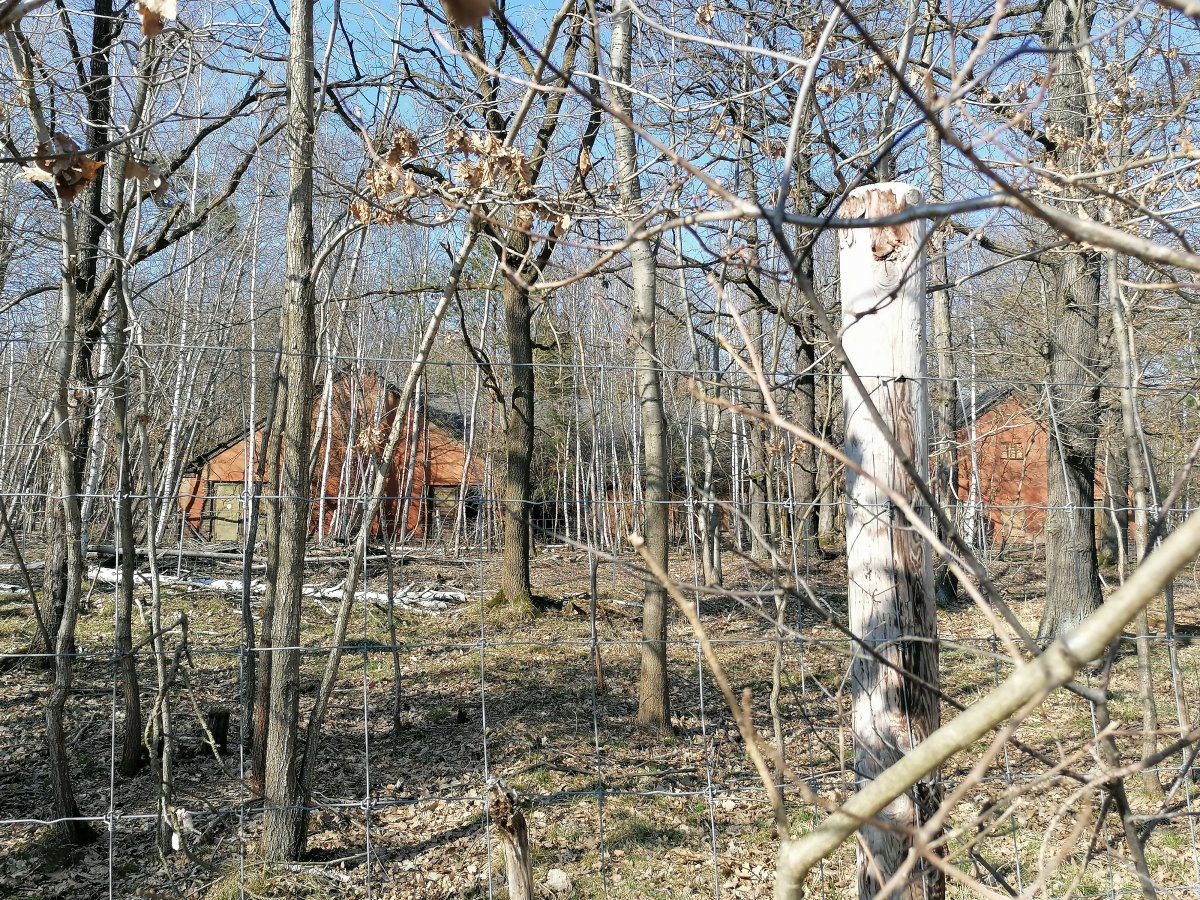 IMG_20220328_154904.jpg
