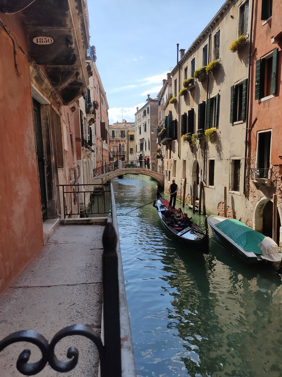 IMG_20220416_111946.jpg