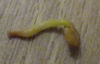 IMG_20230109_183722.jpg
