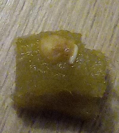 IMG_20230109_183740.jpg