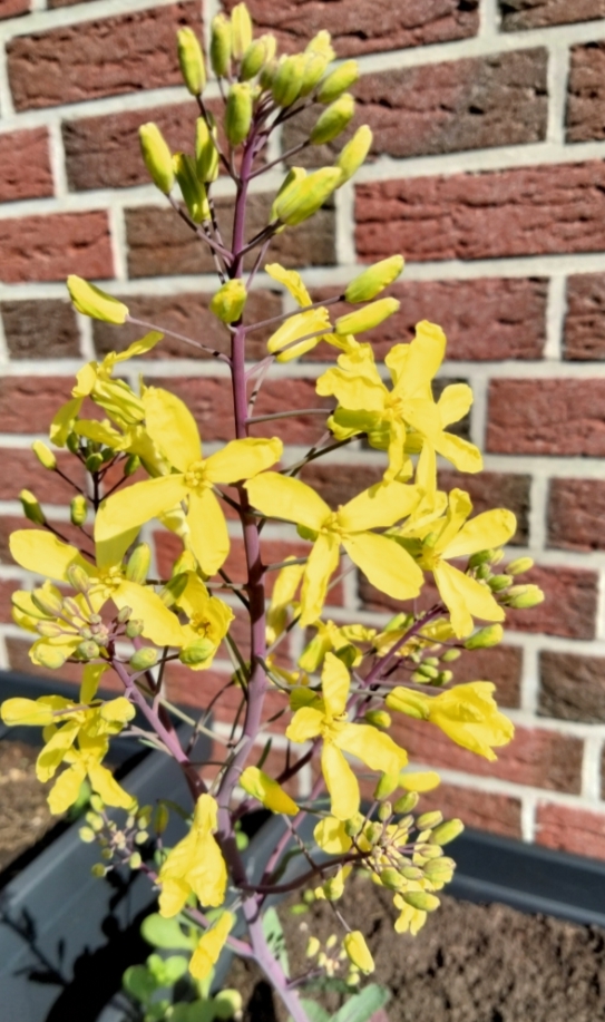 IMG_20230430_191930.jpg