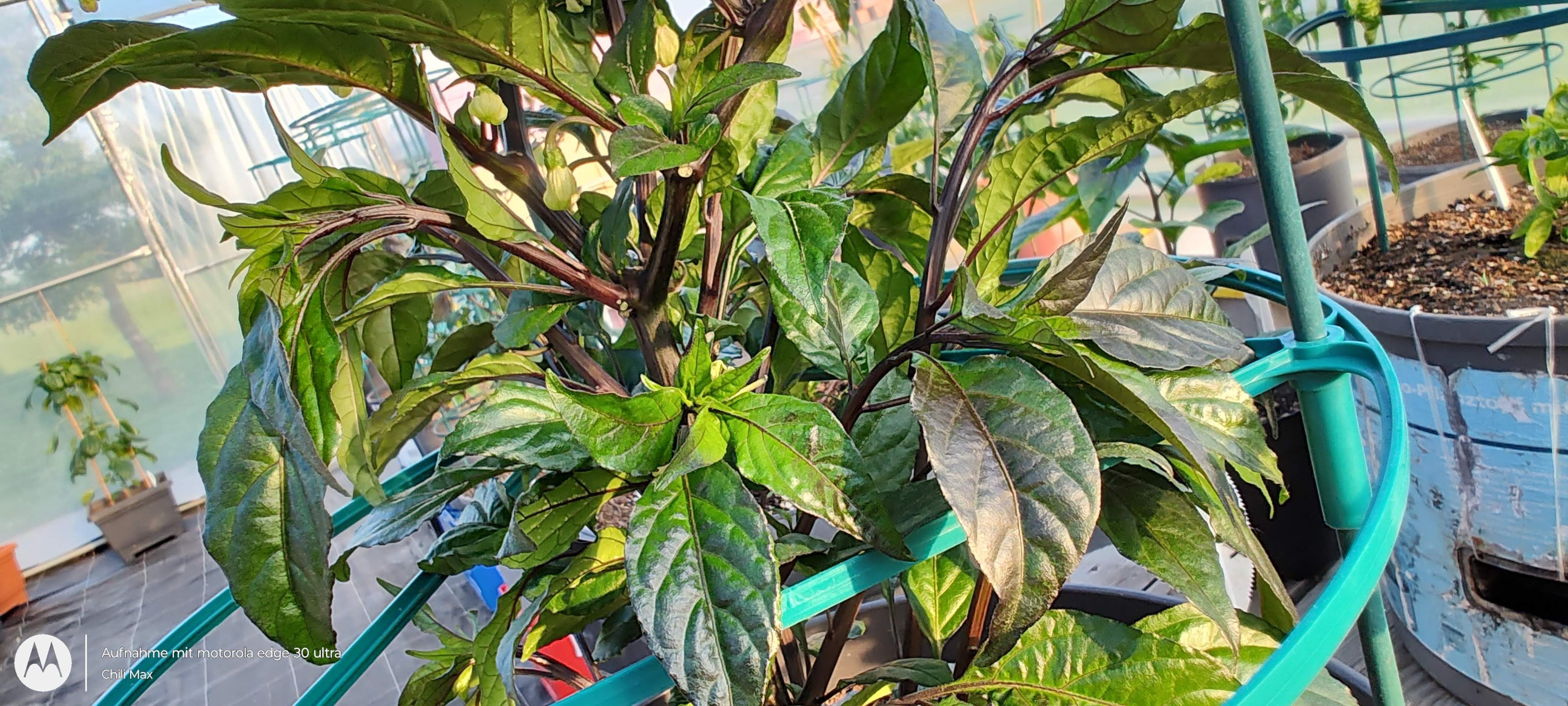 IMG_20230525_192420602_HDR.jpg