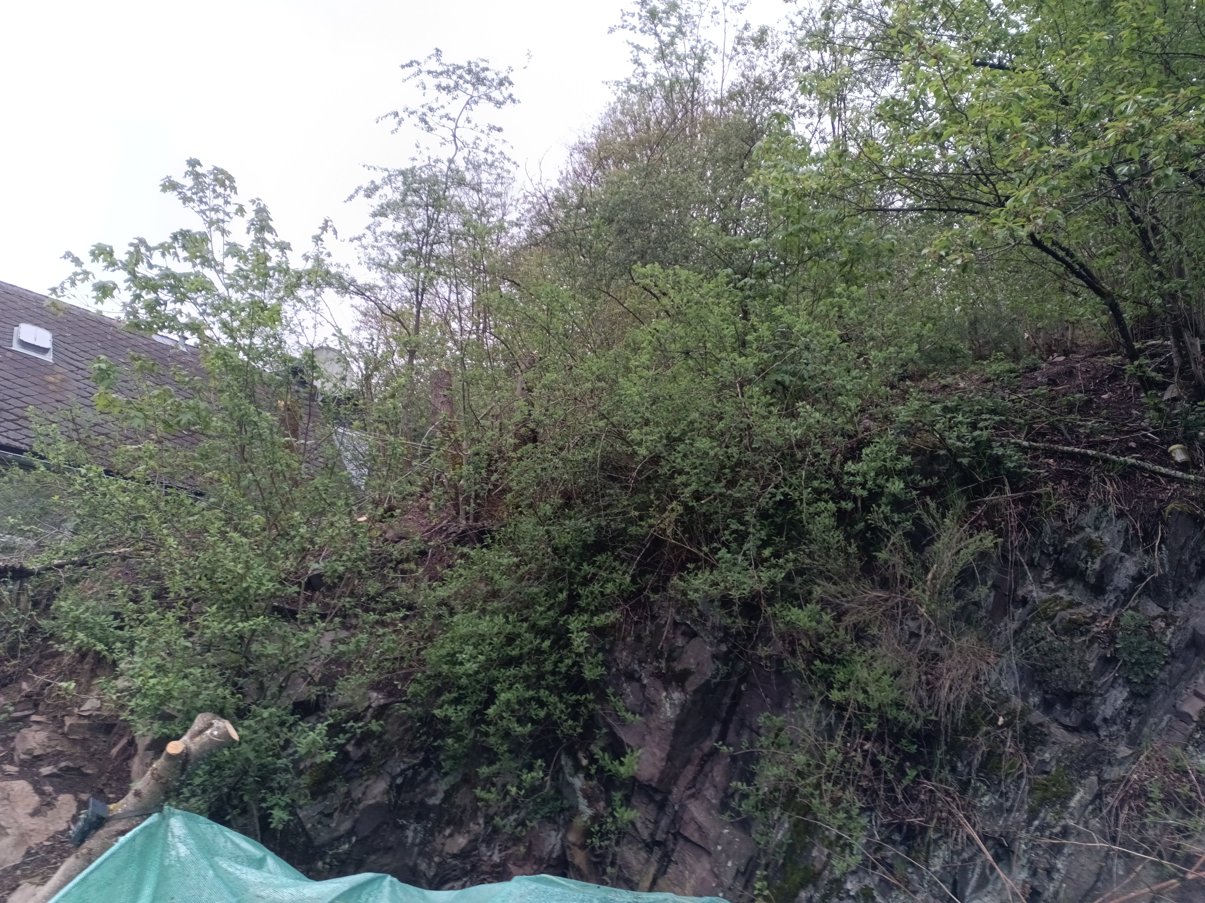 IMG_20260506_195105_718.jpg