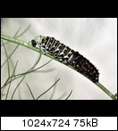 img_3559dqeoug.jpg