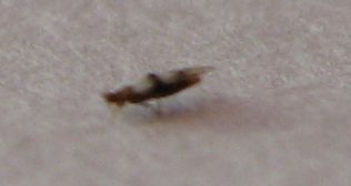 IMG_4164.JPG