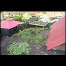 img_5154x2d3e.jpg